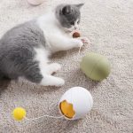 Interactive Cat Toy In Egg Shape - Toy With Moving Ball For Cats