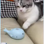 Interactive Air Ball Toy for Cats